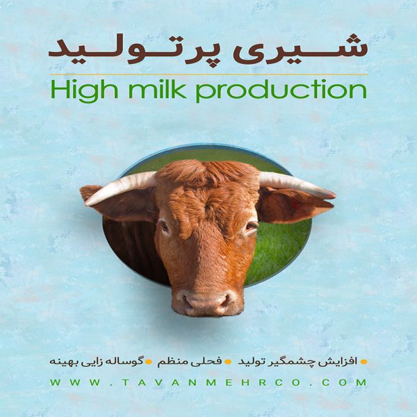 خوراک شیری پرتولید - شرکت توان مهر