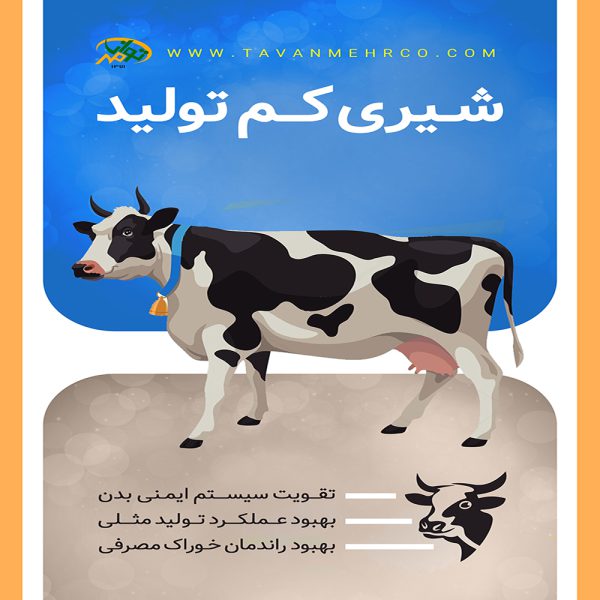 خوراک شیری کم تولید - شرکت توان مهر